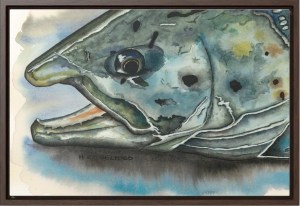 A watercolor painting of a fish's head, showcasing detailed textures and colors, framed elegantly.