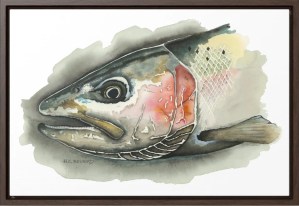 Watercolor illustration of a fish with intricate details, framed against a white background.
